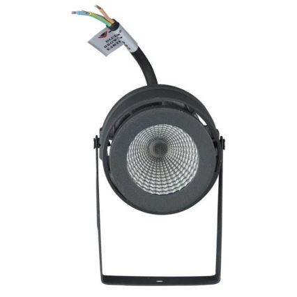 LED Buitenlamp LED/12W/230V 4000K antraciet IP65