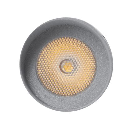 LED Buitenlamp OKO 1xLED/1W/350mA IP54