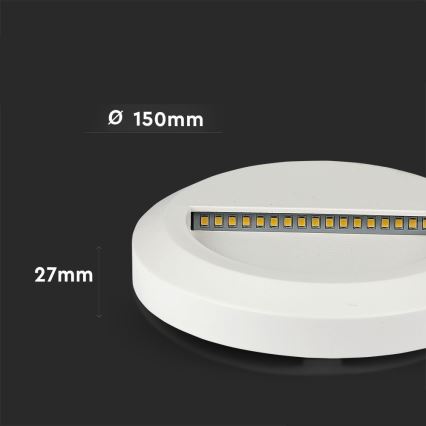 LED Buitenlamp voor trappen LED/2W/230V IP65 4000K wit