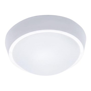 LED buitenplafondlamp 18W/230V IP65