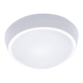 LED-buitenplafondlamp, 30W, 230V, IP65