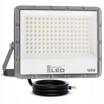 LED buitenschijnwerper LED/100W/230V 4500K IP65 grijs