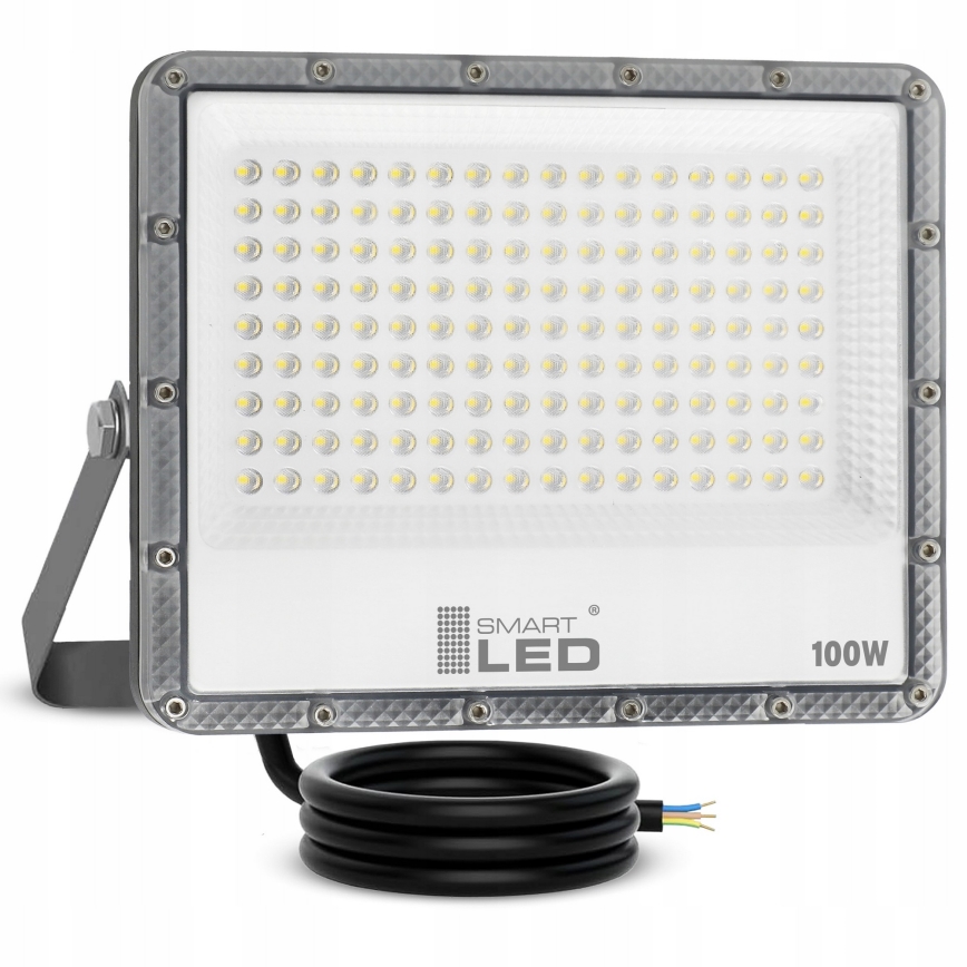 LED buitenschijnwerper LED/100W/230V 4500K IP65 grijs