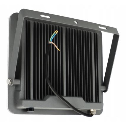 LED buitenschijnwerper LED/100W/230V 4500K IP65 grijs