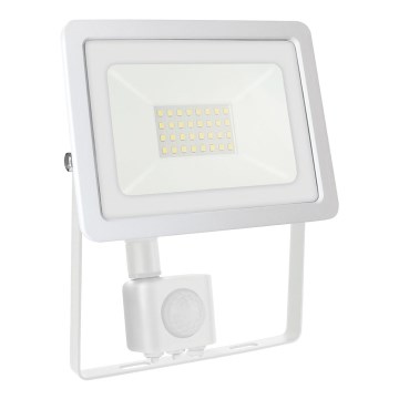 LED Buitenschijnwerper met sensor NOCTIS LUX 2 LED/30W/230V 4000K IP44 wit