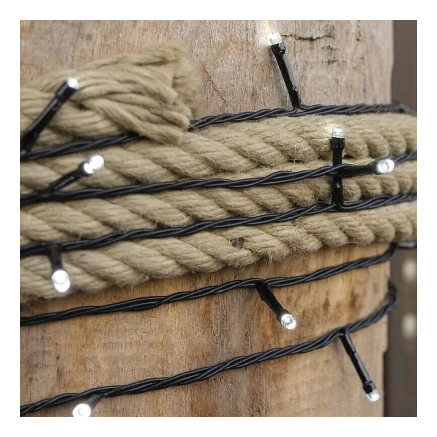 LED buitensnoer 100xLED/10m IP44 koel wit