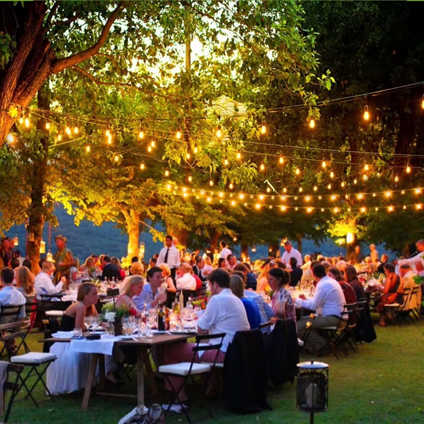 LED Buiten decoratieve lichtsnoer 15xE27/1W/230V 15 m IP65 zwart