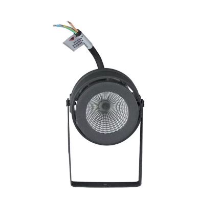 LED Buitenverlichting LED/12W/100-240V IP65 grijs - groen licht