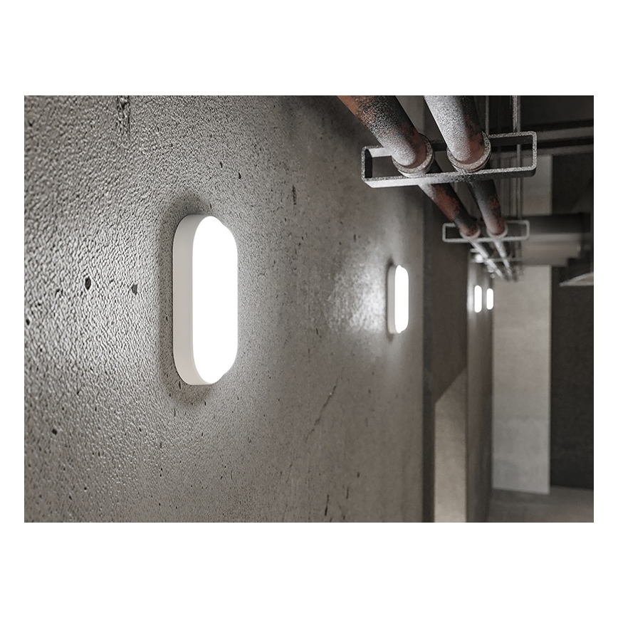 LED buitenwandlamp 12W/230V IP54 wit