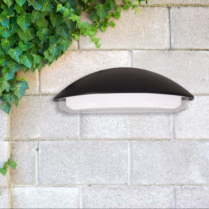 LED buitenwandlamp ALABAMA LED/12W/230V IP54 zwart