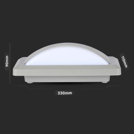 LED Buitenwandlamp LED/12W/230V 6400K IP65