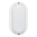 LED buitenwandlamp LED/6W/230V IP54 wit
