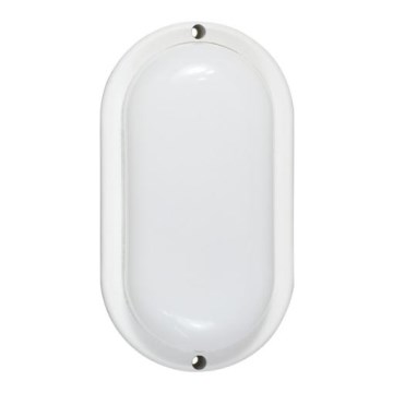 LED buitenwandlamp LED/6W/230V IP54 wit