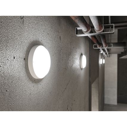 LED buitenwandlamp LED/9W/230V IP54 wit