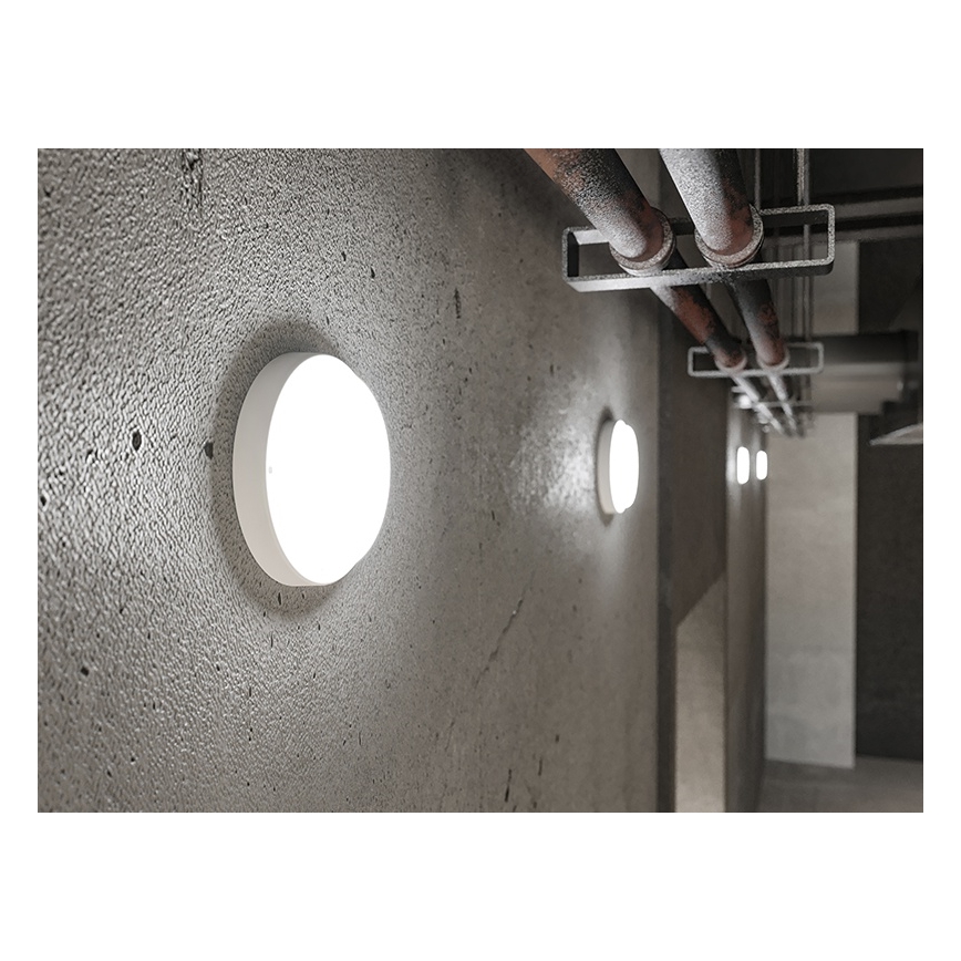 LED buitenwandlamp LED/9W/230V IP54 wit