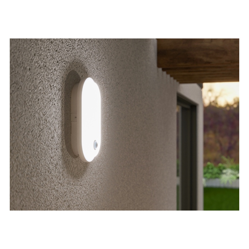 LED buitenwandlamp met bewegings- en schemersensor OVAL LED/10W/230V IP65 wit