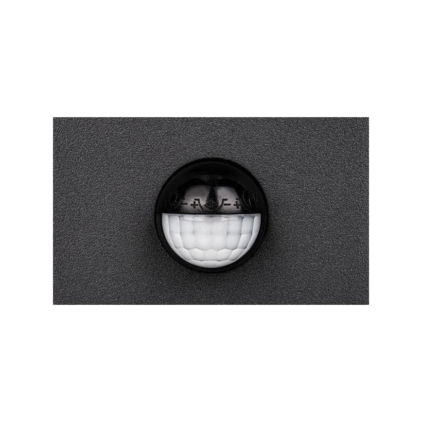 LED buitenwandlamp met sensor LED/9W/230V 4000K IP44 zwart