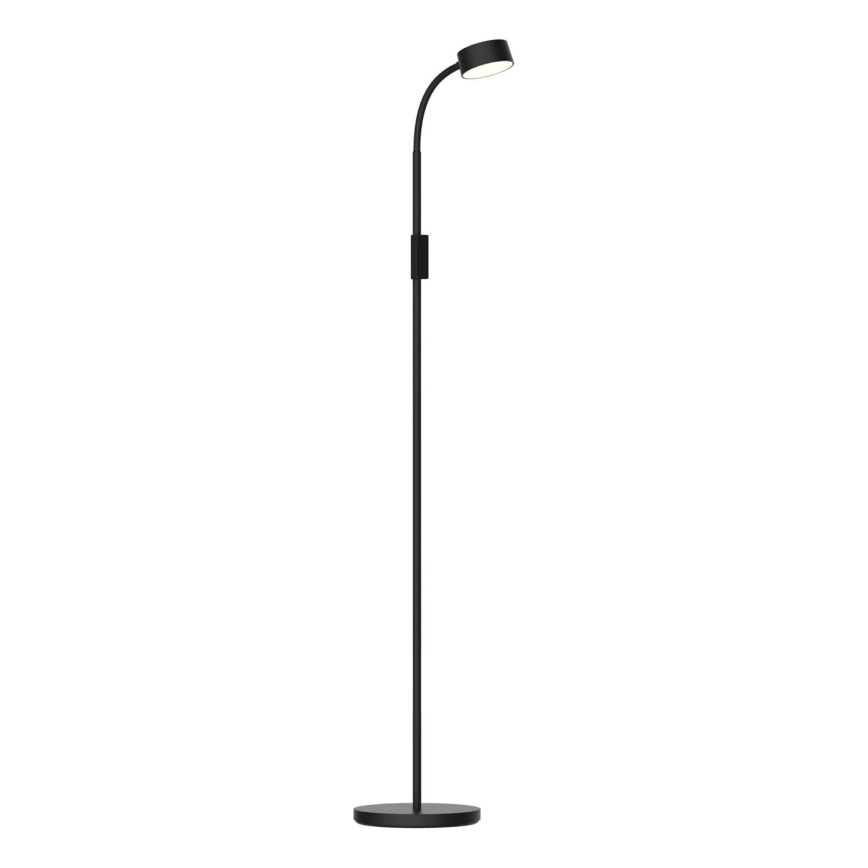 LED Dimbaar aanraken Staande lamp BRUNO LED/3W/230V 3000/4000/6500K zwart