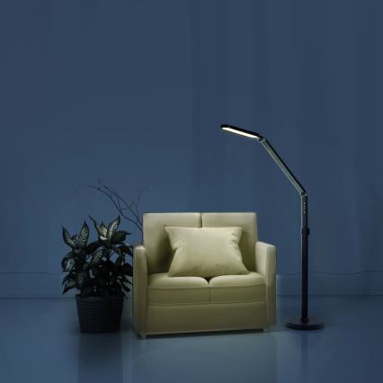 LED Dimbaar aanraken Staande lamp FERRARA LED/13W/230V 3000/4000/6500K zwart