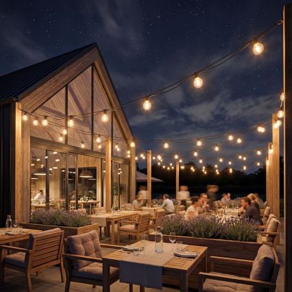 Dimbaar LED buiten decoratief lichtsnoer 36xE12/1W/24/230V 22,35 m IP65 zwart + afstandsbediening