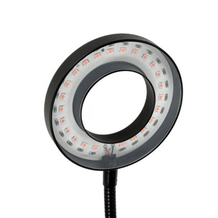 LED Dimbaar flexibel tafellamp met clip voor het kweken van planten VITARO 2xLED/4W/230V zwart