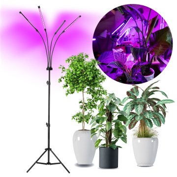 LED Dimbaar flexibel Staande lamp voor het kweken van planten VITARO 4xLED/7,5W/230V zwart