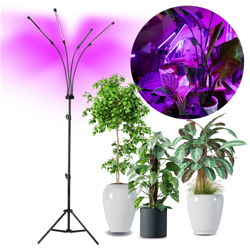 LED Dimbaar flexibel Staande lamp voor het kweken van planten VITARO 4xLED/7,5W/230V zwart