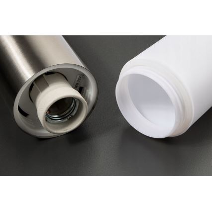 LED-dimbare buitenmuurlamp LIVIA 1xE27/6W/230V 2700-6500K Wi-Fi IP44 zilver