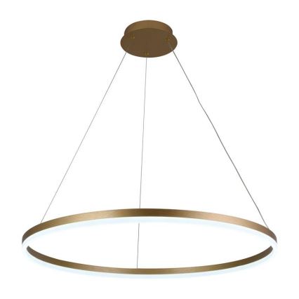 LED dimbare hanglamp aan kabel LED/55W/230V 3000-6500K Ø 80 cm + afstandsbediening