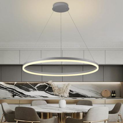 LED dimbare hanglamp aan kabel LED/55W/230V 3000-6500K Ø 80 cm + afstandsbediening