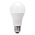 LED dimbare lamp A60 E27/12W/230V 2700K - Aigostar