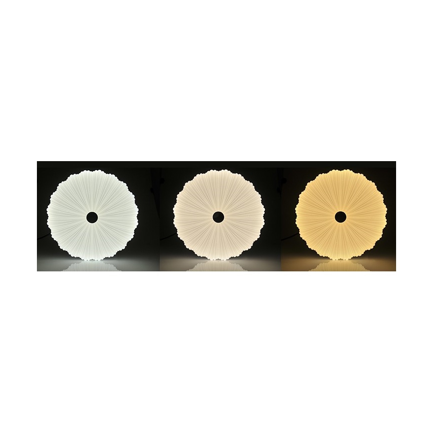LED Dimbaar Plafondlamp FLOWER LED/36W/230V + afstandsbediening