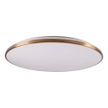 LED-dimbare plafondlamp KERN LED/80W/230V 3000/4000/6000K Ø 80 cm goudkleurig + afstandsbediening