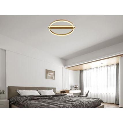 LED-dimbare plafondlamp LED/60W/230V 3000-6500K + afstandsbediening