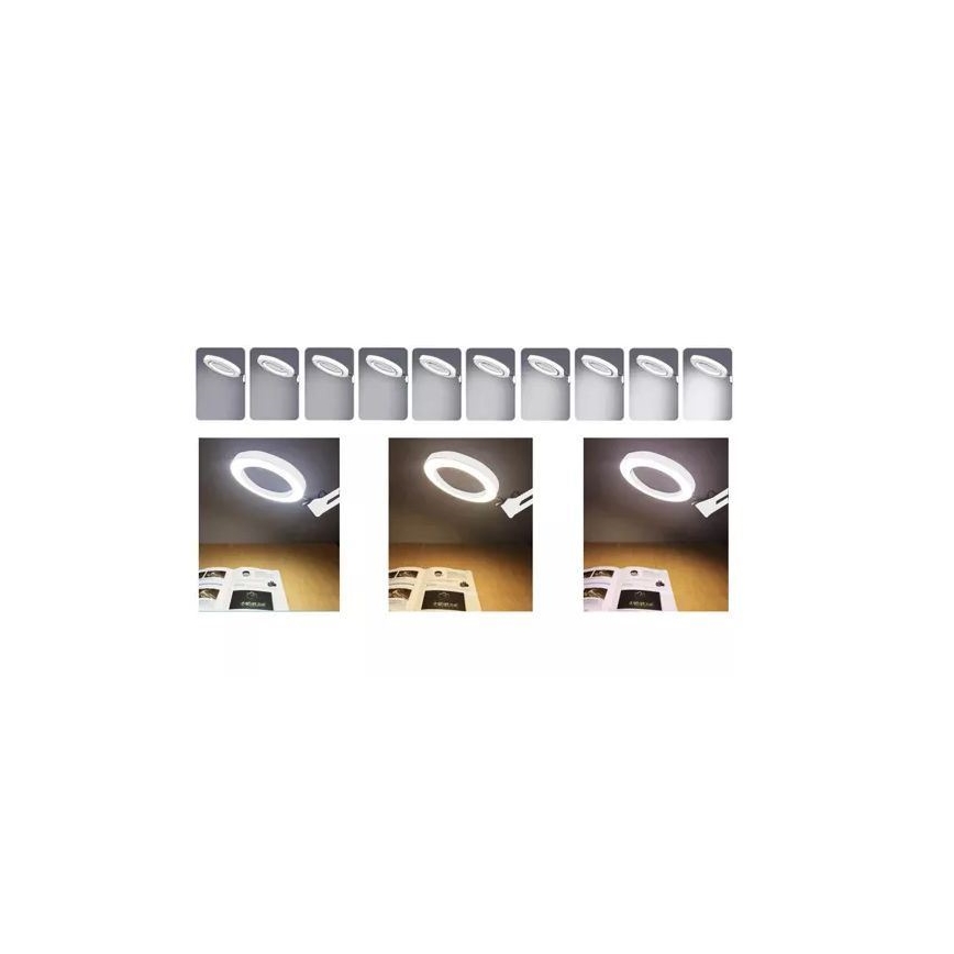 LED Dimbare bureaulamp met loep LED/6W/5V 3000K/4000K/6000K wit