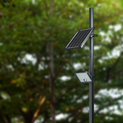 LED Dimbare zonne-schijnwerper met sensor LED/10W/3,7V 4000/6000K IP65 + afstandsbediening