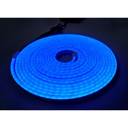 LED Flexibel strip NEON LED/10W/230V 5 m IP65 blauw