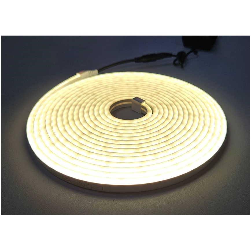 LED Flexibel strip NEON LED/10W/230V 5 m IP65 wit