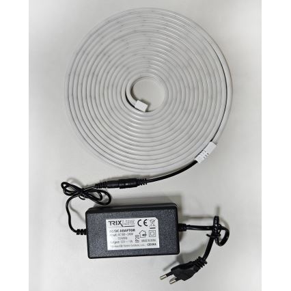 LED Flexibel strip NEON LED/10W/230V 5 m IP65 wit
