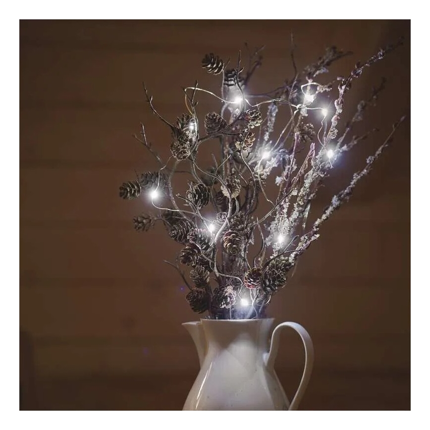 LED  guirlande 20xLED/2xAA 2,4m blanc froid