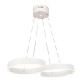 LED Hanglamp aan draad INFINITY LED / 50W / 230V