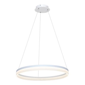 LED Hanglamp aan draad RING LED/36W/230V