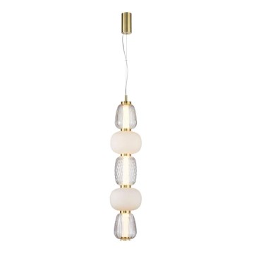 LED Hanglamp aan een koord CARO LED/40W/230V goud