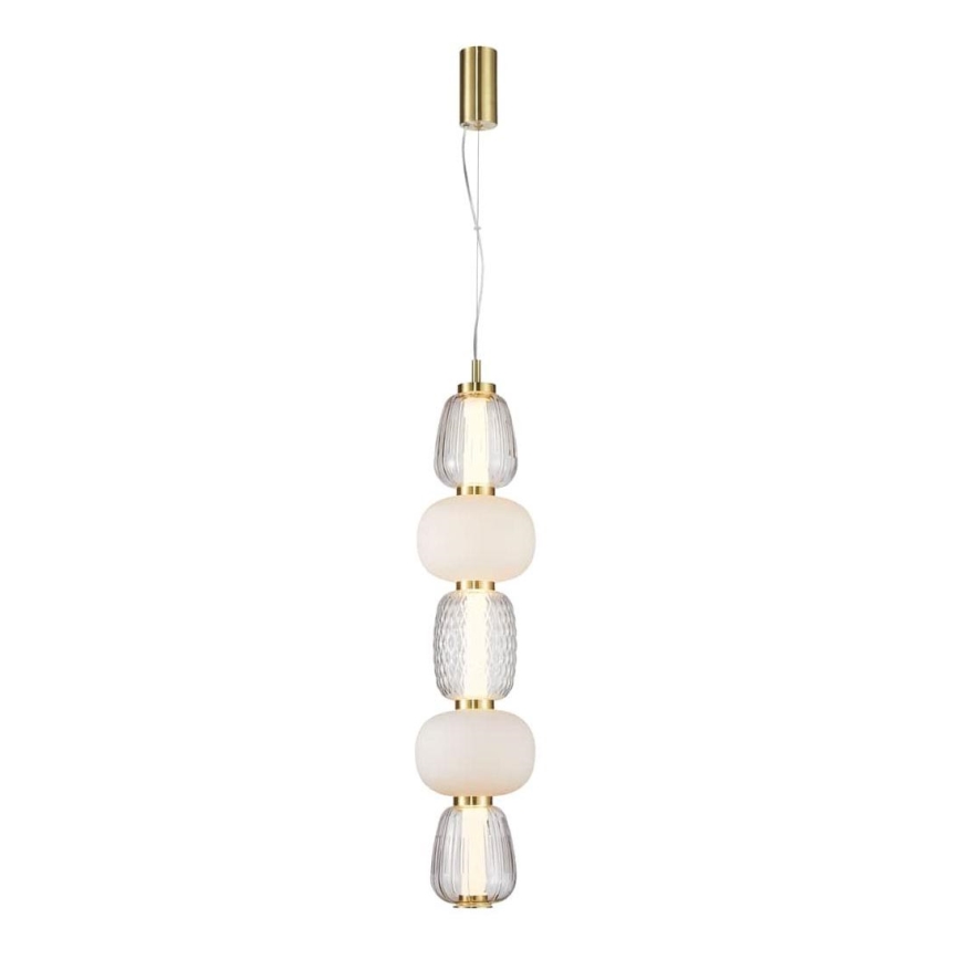 LED Hanglamp aan een koord CARO LED/40W/230V goud