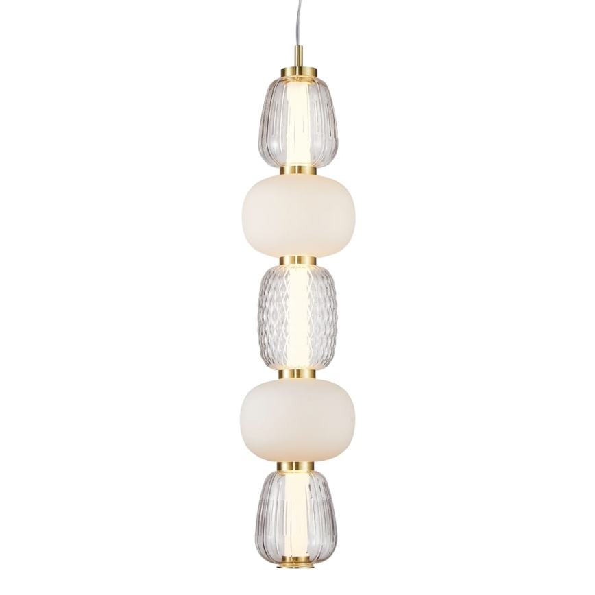 LED Hanglamp aan een koord CARO LED/40W/230V goud