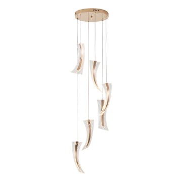 LED Hanglamp aan een koord FIRENZE 6xLED/10W/230V 3000K