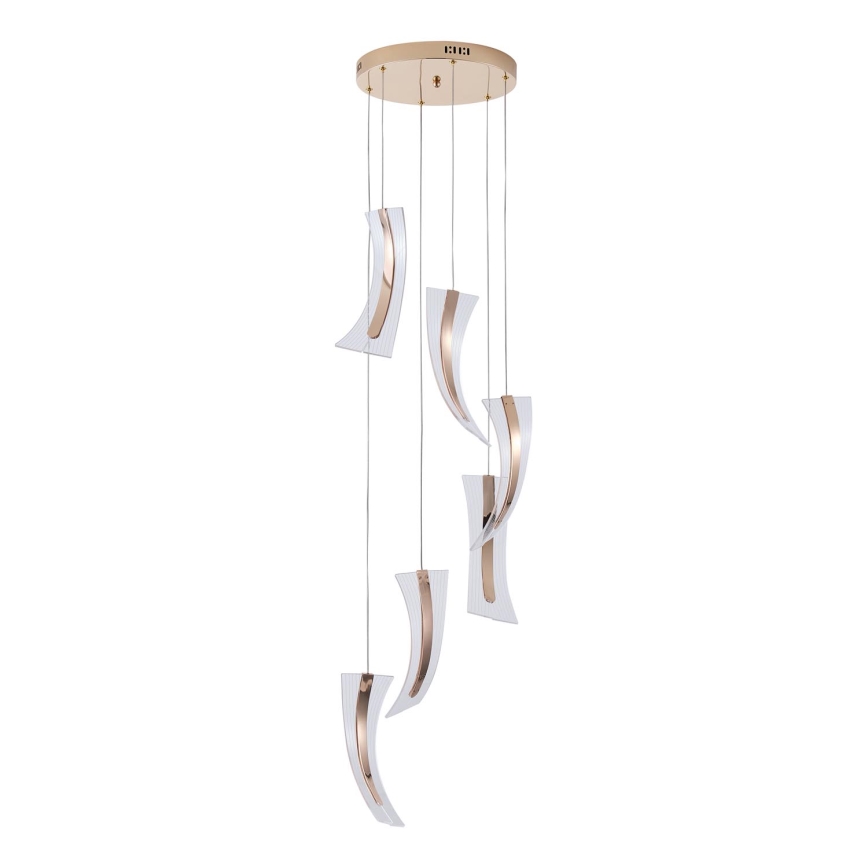 LED Hanglamp aan een koord FIRENZE 6xLED/10W/230V 3000K
