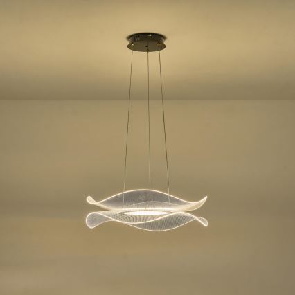 LED Hanglamp aan een koord FIRENZE LED/48W/230V 3000K diameter 54 cm