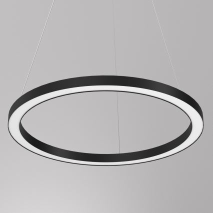 LED Hanglamp aan een koord GALAXIA LED/26W/230V zwart