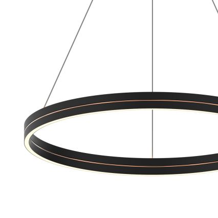 LED Hanglamp aan een koord GRAVITY LED/36W/230V zwart